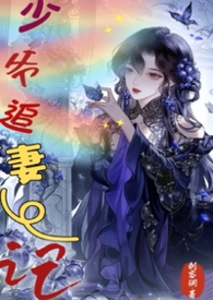 少爷追妻记(1V1)